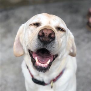 Meet your Posher, Candace